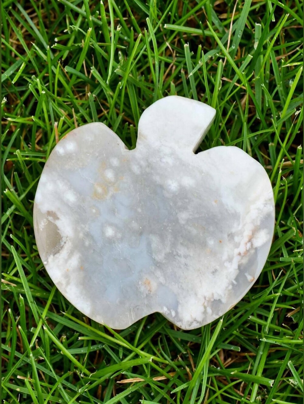 100g Flower Agate Apple Crystal Carving Polished Cherry Blossom Agate Decor 2.5"